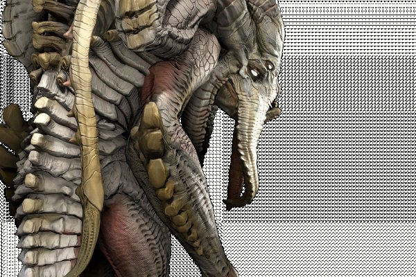 Kraken 6at
