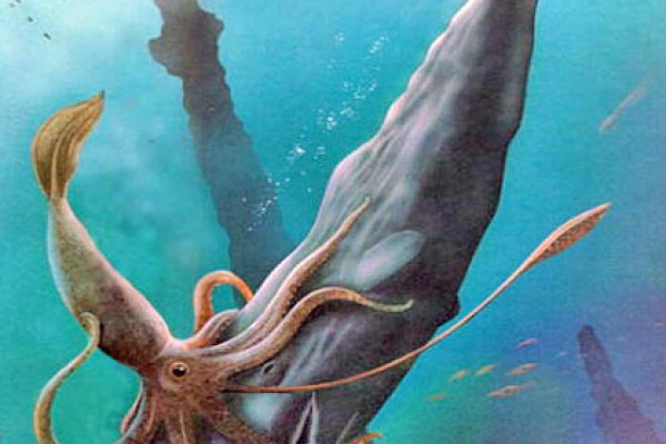 Kraken market3