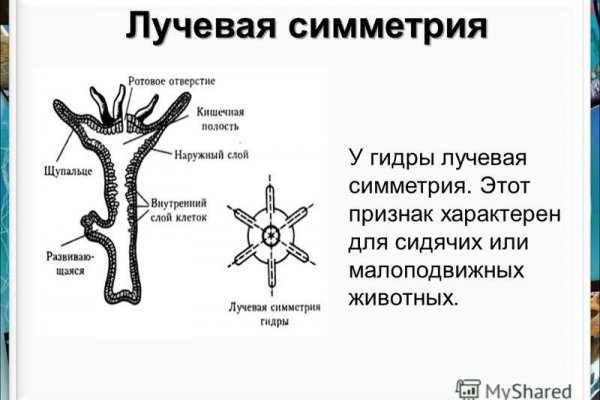 Кракен маркет дарнет только через тор